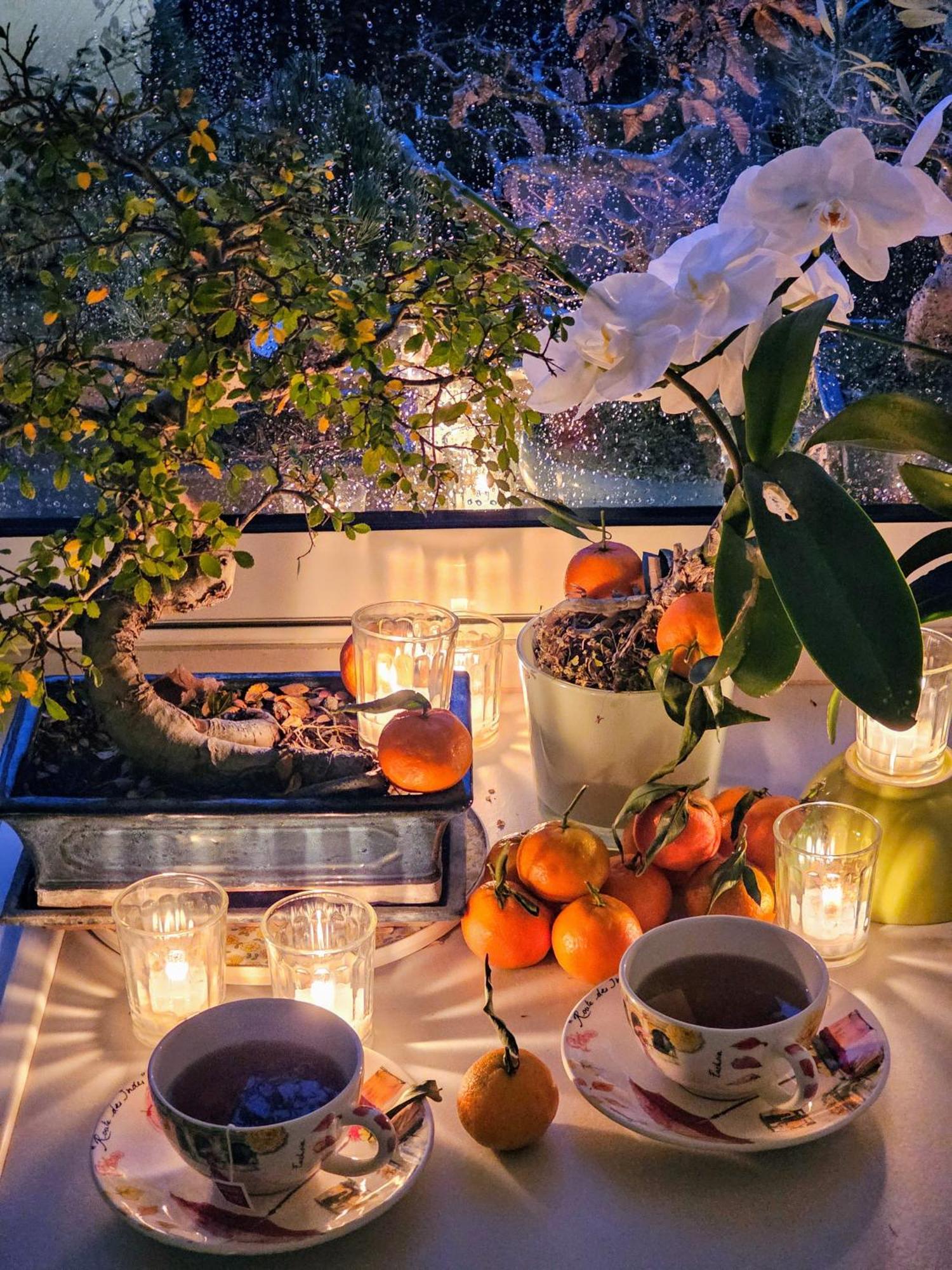 Terrasse De Malissol Apartment Виен Екстериор снимка